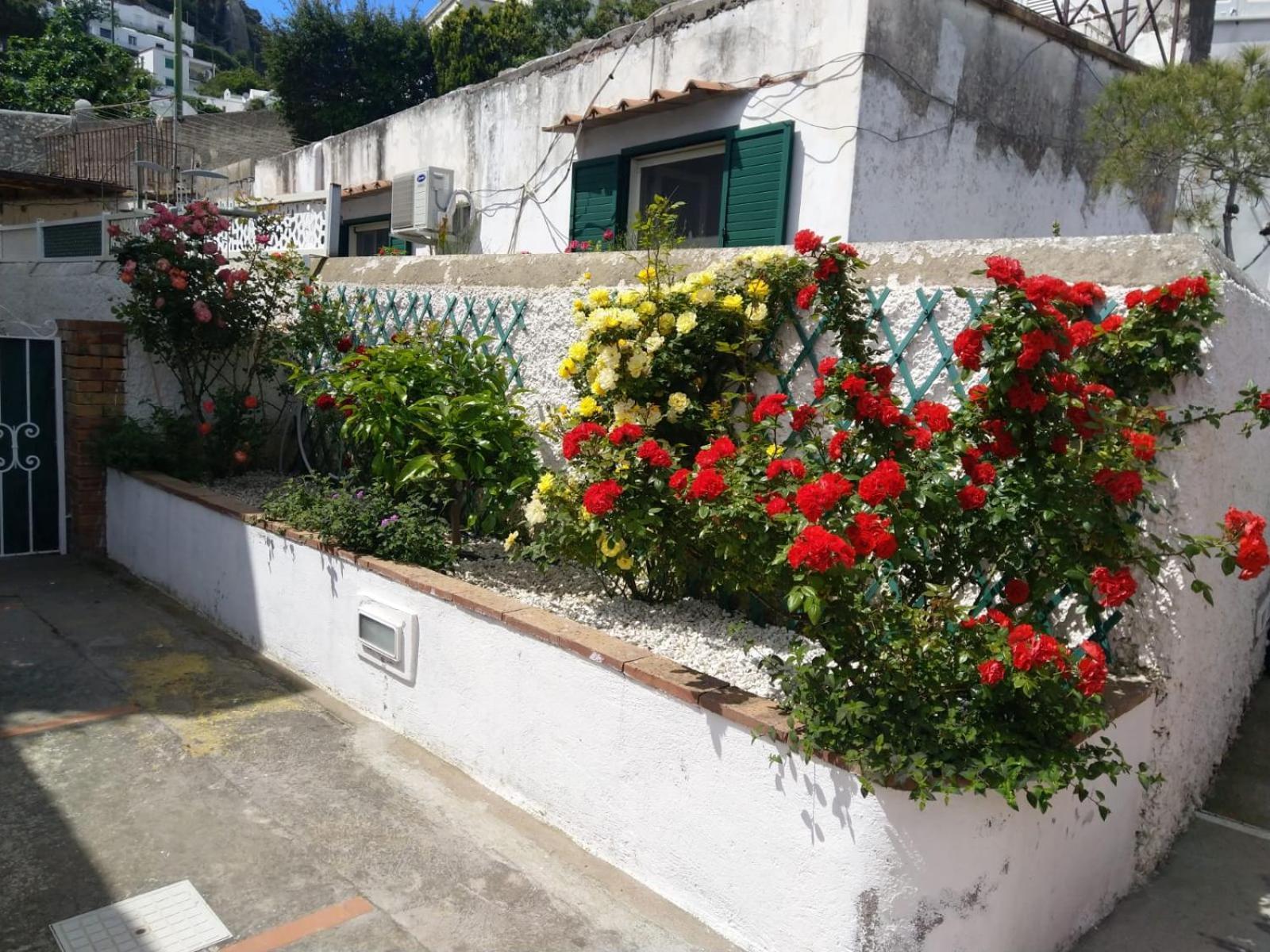 Vila La Marocella Capri Exteriér fotografie