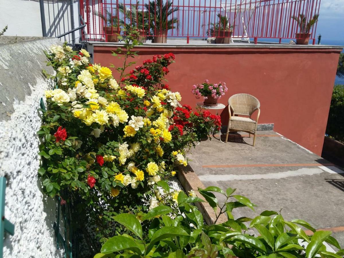 Vila La Marocella Capri Exteriér fotografie