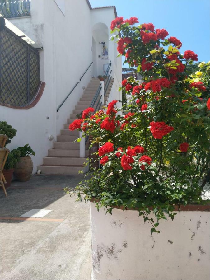 Vila La Marocella Capri Exteriér fotografie